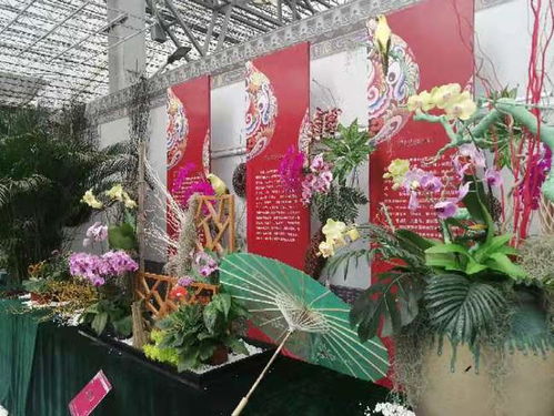 展示230万株精品花卉 第21届中国 青州 花卉博览交易会圆满落幕